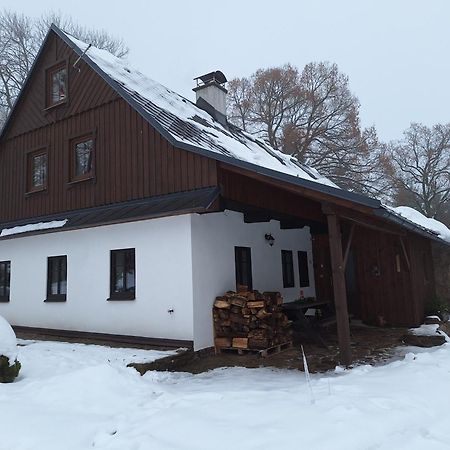 Vila Chalupa U Krizku Ricky V Orlickych Horach Exteriér fotografie